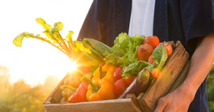 Welcome to Mt. Pleasant Produce — Your Online Amish Market!