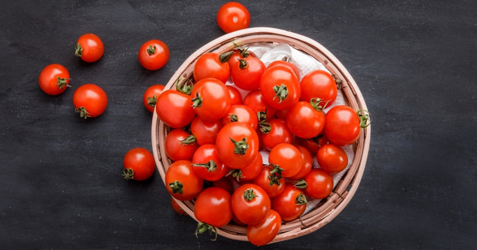 How To Preserve Tomatoes So You Can Enjoy Them All Year Long